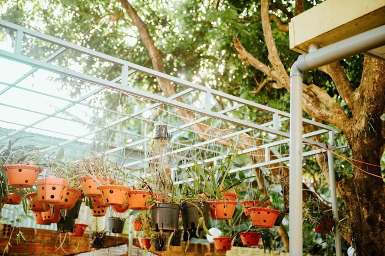 Homestay Vuon Nhan プレイク エクステリア 写真