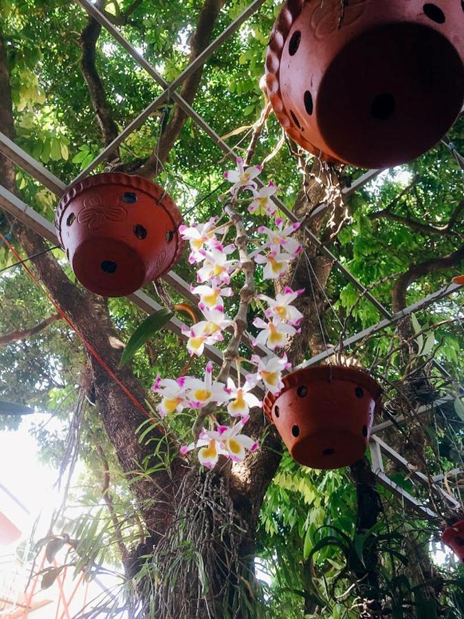 Homestay Vuon Nhan プレイク エクステリア 写真